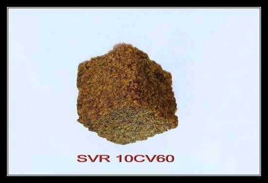 SVR 10CV60
